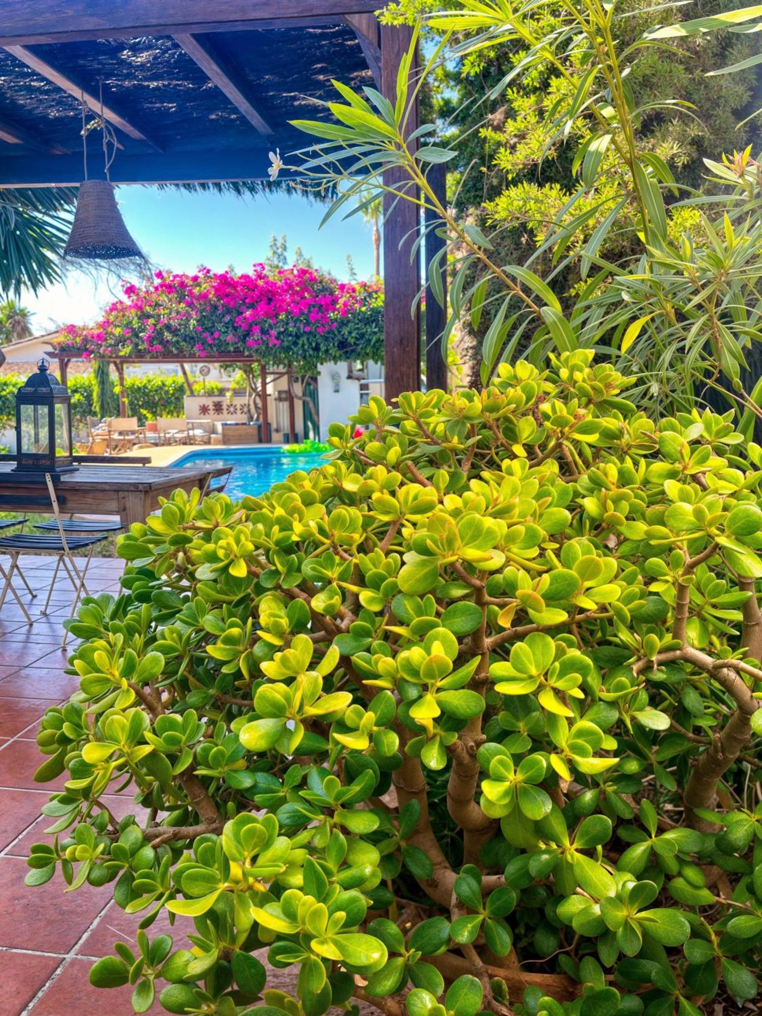 Villa Alfredo - Private Pool Next To The Beach เอสเตโปนา ภายนอก รูปภาพ